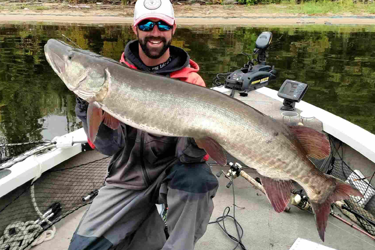 Musky fishing guide on lake of the woods - Fishing Guide